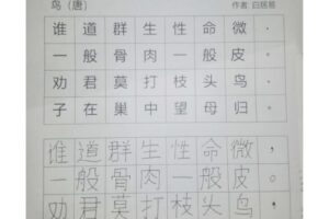 Ian Yu 余仁杰_2022 Writing