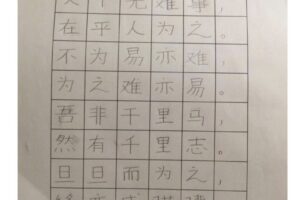 Lisa Mei 梅绫纱_2022 Writing